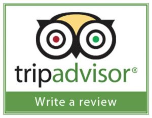 Trip Advisor Review